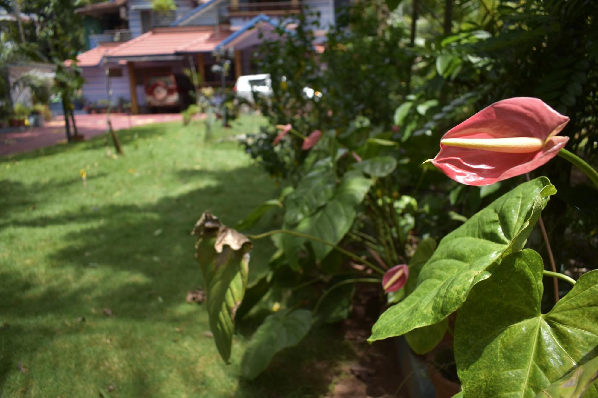 Ben'S Villa Kannur ! Kültér fotó
